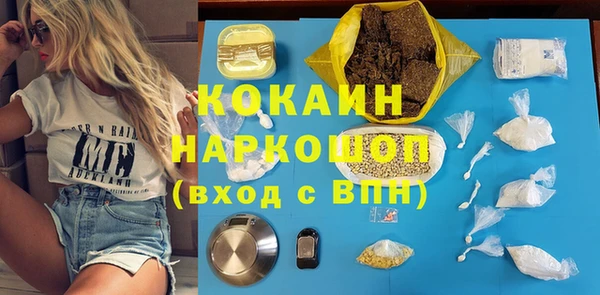 стафф Гусев