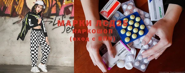 ECSTASY Алзамай