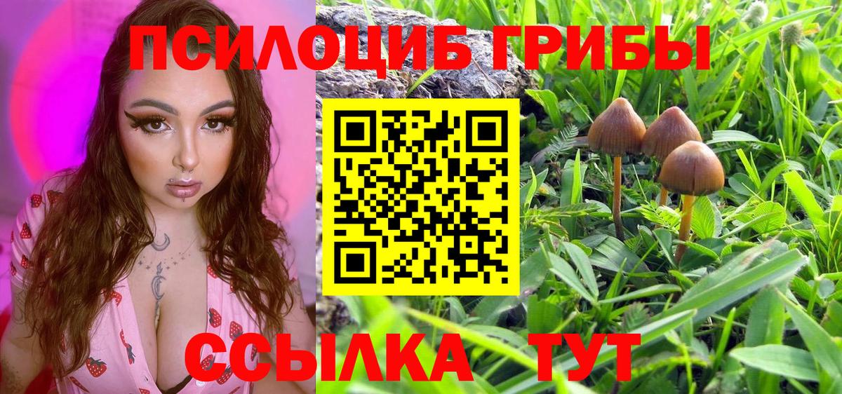 Псилоцибиновые грибы GOLDEN TEACHER  продажа наркотиков  Мытищи  Псилоцибиновые грибы Magic Shrooms  Вход с VPN 