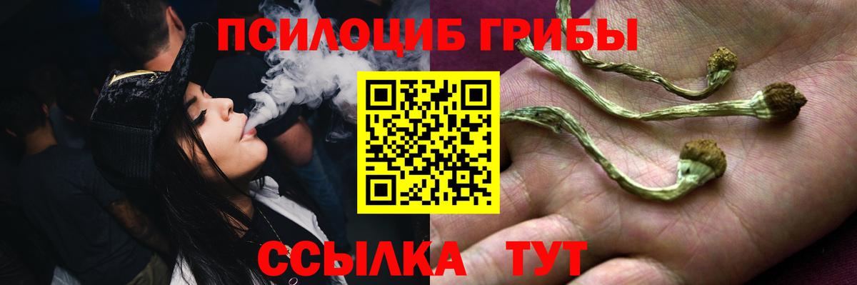 Галлюциногенные грибы прущие грибы Мытищи